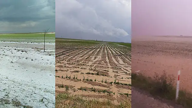 Konya'da ekili arazileri  dolu yağışı vurdu! Zarar büyük