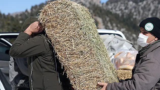 Konya'da ekipler yaban hayvanlarının aç kalmaması için karlı dağları aşıyor