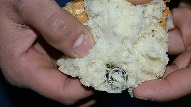 Konya'da ekmeğin içinden somun çıktı