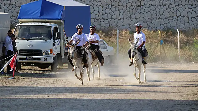 Konya'da en hızlı ve en güzel eşek yarışları yapıldı