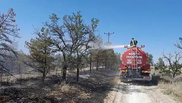 Konya'da Erozyon Önleme Sahası'nda orman yangını
