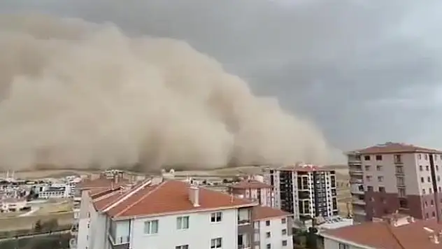 Konya'da erozyonla mücadelede yeni adım! 9 bin fidan toprakla buluşacak