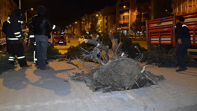 Konya'da etkili olan fırtınada ağaç kökünden söküldü, çatılar uçtu