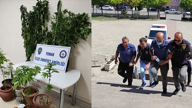 Konya'da evde saksıda uyuşturucu yetiştiren şüpheli tutuklandı
