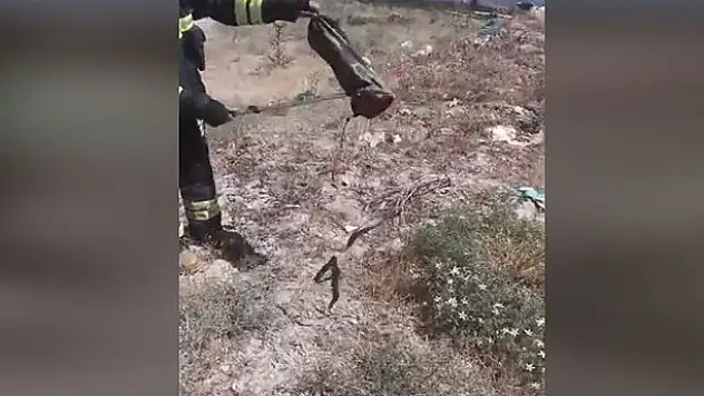 Konya'da eve giren yılan paniğe neden oldu