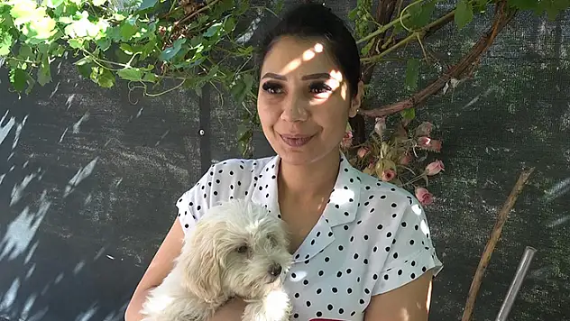 Konya'da evin bahçesinden kaybolan köpek, sosyal medyada yayınlanan'10 bin TL ödül' ilanıyla bulundu

