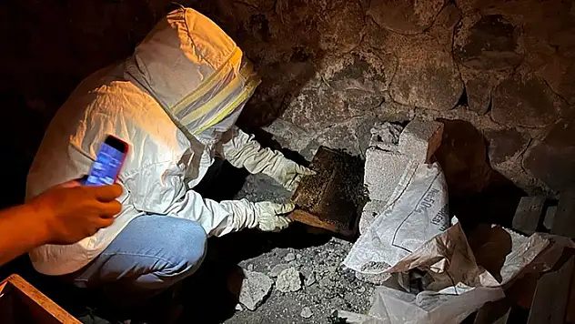 Konya'da evin bahçesine gelen arılar panik yarattı
