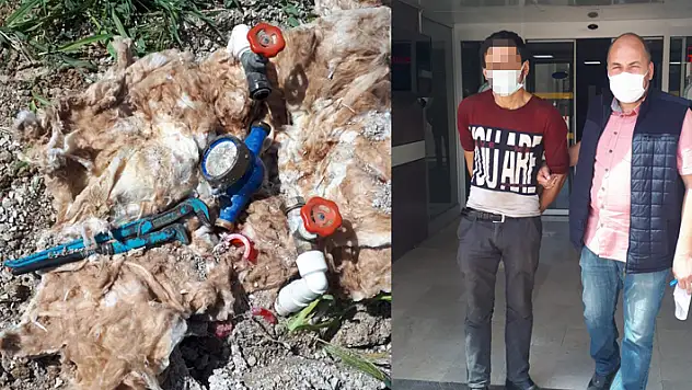 Konya'da evin su sayacını sökmeye çalışan hırsızlık şüphelisi suçüstü yakalandı
