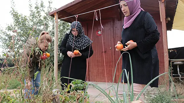Konya'da evinin bahçesinde 'ata tohumu' yetiştiren kadın girişimci kooperatif kurdu
