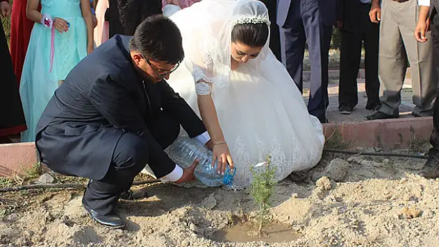 Konya'da evlenen çift nikah şekeri yerine çam fidanı dağıttı