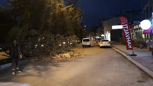 Konya'da fırtına ağaçların dallarını kırıp yola savurdu