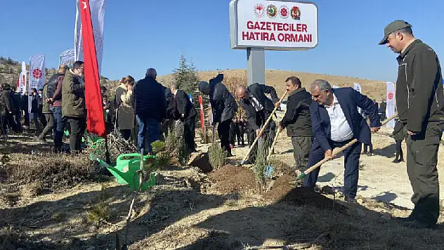Konya'da Gazeteciler Hatıra Ormanı'na 5 bin fidan dikildi