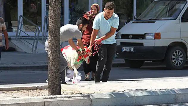 Konya'da gelin adayına 'süslü koç' gönderme geleneği yaşatılıyor