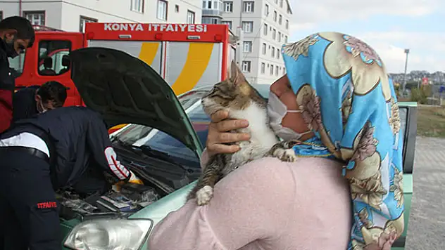 Konya'da girdiği otomobilin motor bölümünde mahsur kalan kediyi itfaiye ekipleri kurtardı