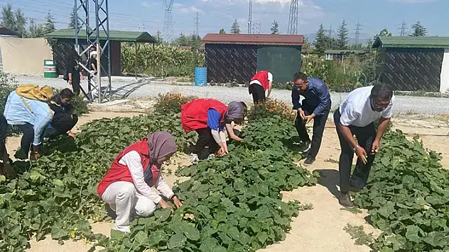 Konya'da gönüllü öğrencilerin yetiştirdiği sebze ve meyveler ihtiyaç sahiplerine ulaştırıldı
