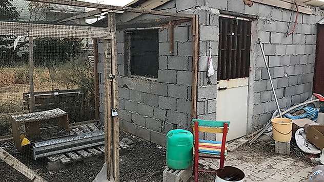 Konya'da güvercin hırsızlığı iddiası