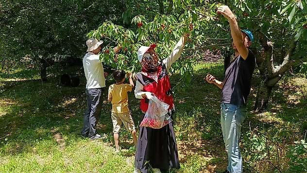 Konya'da hasat öncesi denetimler sürüyor