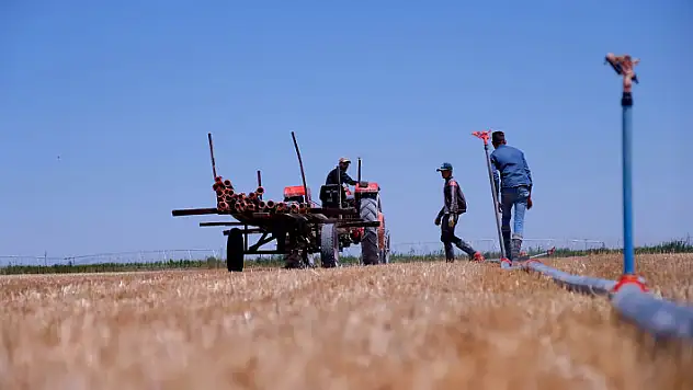 Konya'da hasat sezonunda 2 milyon tonun üzerinde rekolte bekleniyor

