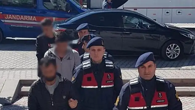 Konya'da hayvan hırsızları tutuklandı