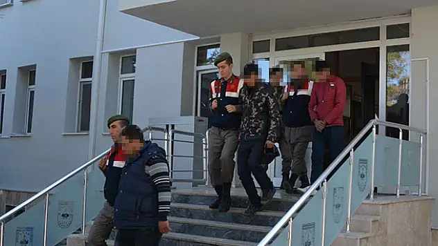 Konya'da hayvan hırsızlığı