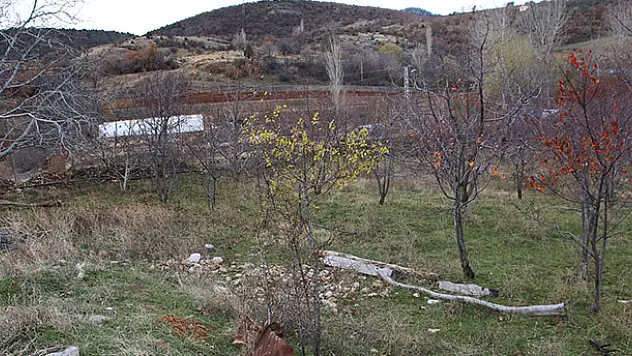 Konya'da 'hayvan otlatma' kavgası: 1 ölü, 1 yaralı