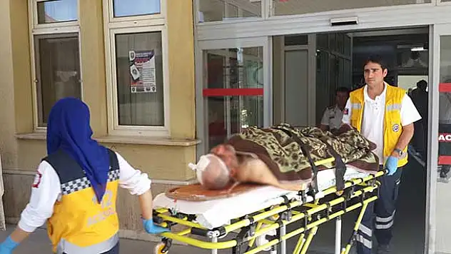 Konya'da hayvan otlatma kavgası: 7 yaralı