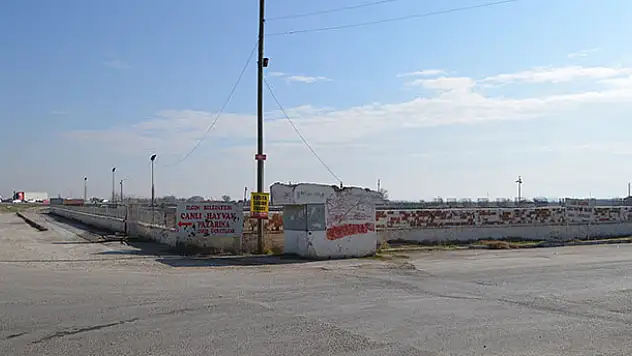 Konya'da hayvan pazarında 'şap' karantinası