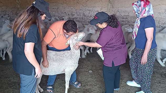 Konya'da hayvan sağlığı emin ellerde