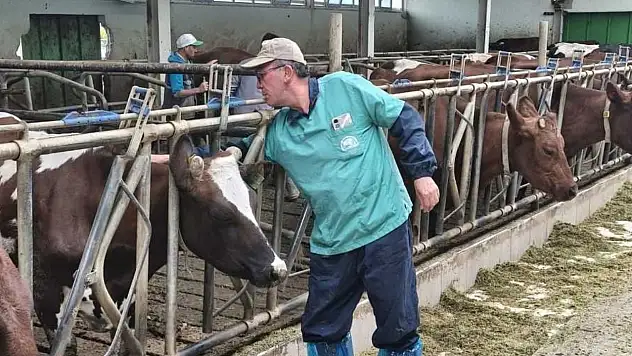 Konya'da hayvan sağlığı kontrol altında