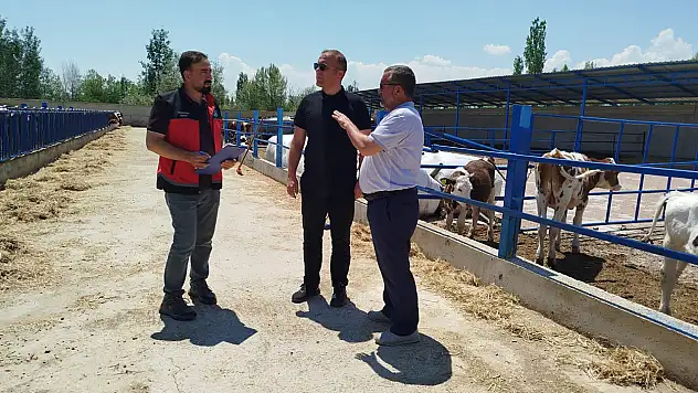 Konya'da hayvan sağlığı kontrol altında