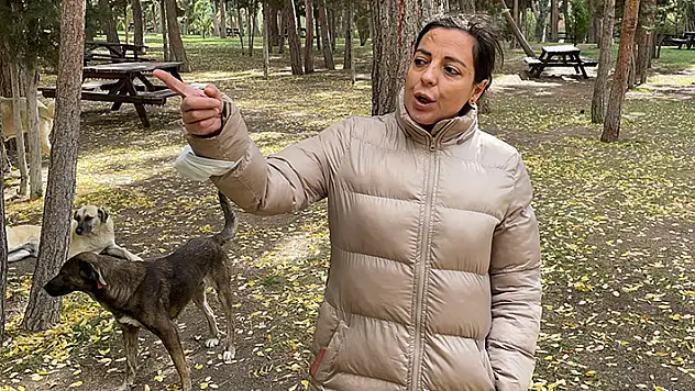 Konya'da hayvanseverlerin baktığı köpeklerden biri silahla öldürülmüş halde bulundu
