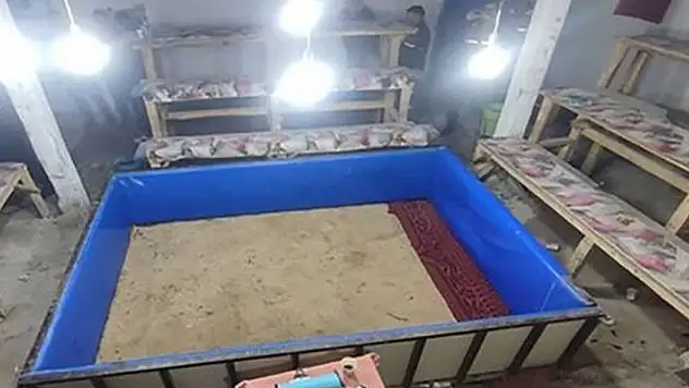 Konya'da horoz dövüştüren 52 kişiye 349 bin lira para cezası
