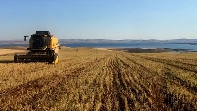 Konya'da hububat fiyatları