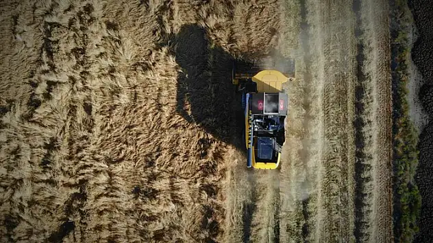Konya'da hububat hasadında kuraklık alarmı