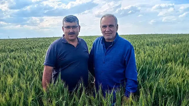 Konya'da hububat üreticilerine önemli uyarı!