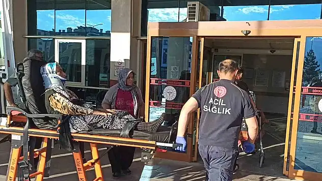 Konya'da iki araç birbirine girdi