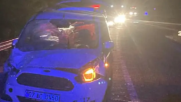 Konya'da iki aracın çarptığı büyükbaş hayvan sürüsündeki 2 hayvan telef oldu
