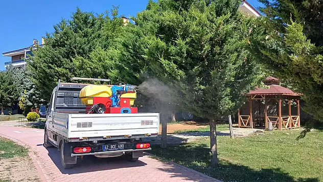 Konya'da ilçeler ilaçlanıyor