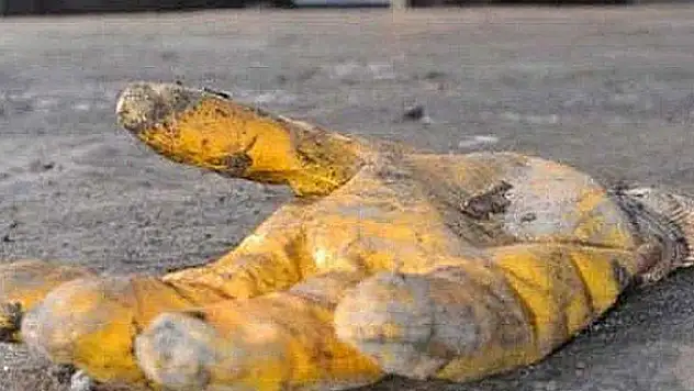 Konya'da iş kazası: 1 ölü