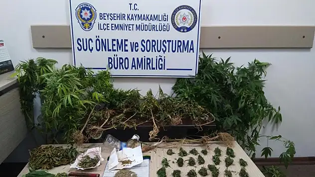 Konya'da iş yerinde uyuşturucu yetiştiren şüpheli tutuklandı
