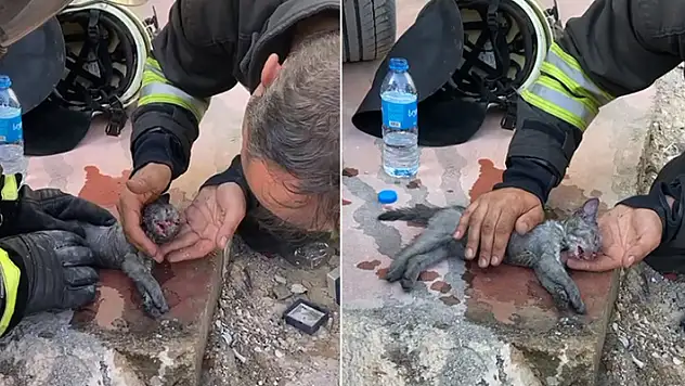 Konya'da itfaiye ekipleri yangından kurtardığı yavru kediyi suni teneffüsle hayata döndürdü

