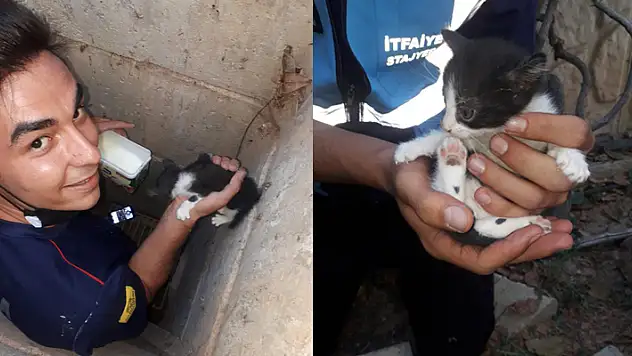 Konya'da itfaiyeden kedi kurtarma operasyonu
