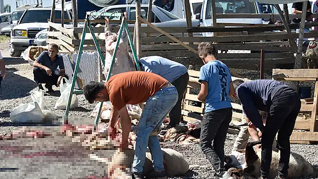 Konya'da izinsiz kurban pazarında kaçak kesim