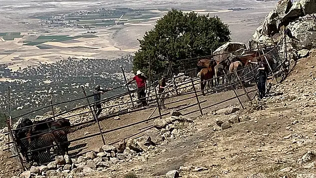 Konya'da izinsiz yılkı atı toplayan yabancı uyruklu 4 kişi yakalandı
