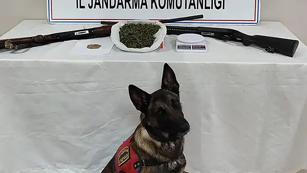 Konya'da jandarma ekiplerinden 3 ilçede uyuşturucu operasyonu
