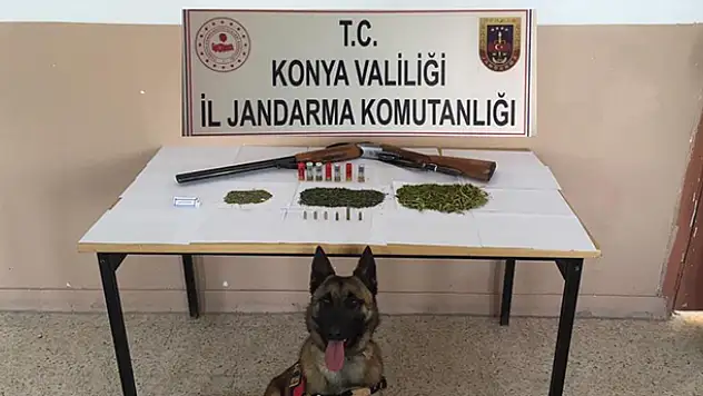 Konya'da jandarmadan uyuşturucu operasyonu