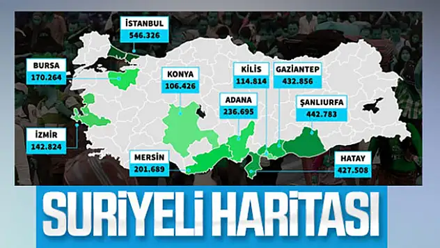 Konya'da kaç Suriyeli var! İşte son rakamlar...
