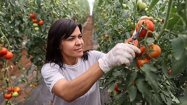 Konya'da kadın girişimcinin hayali gerçekleşti