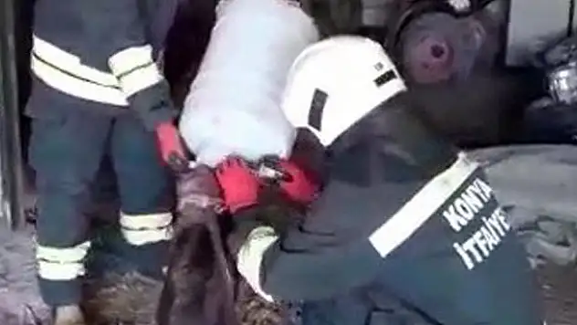Konya'da kafası bidona sıkışan köpeği itfaiye kurtarıldı