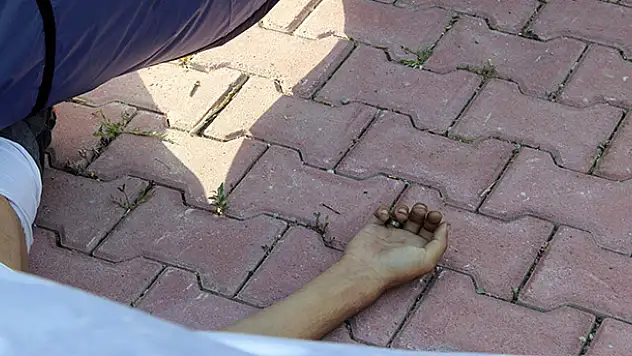 Konya'da kaldırımda ceset bulundu